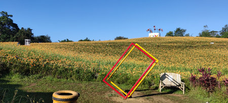 Chike Mountain, Hualien - Aug 29, 2022 : The beautiful daylily flower mountain of eastern Taiwanのeditorial素材