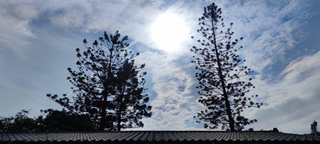The tree and roof with blue sky and cloudの写真素材