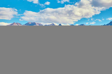 Open field with lines of trees and large beautiful mountains in the backgroundの写真素材