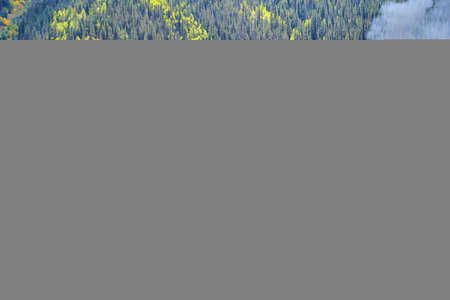 Coal locomotive train with yellow and green forest mountainsの写真素材