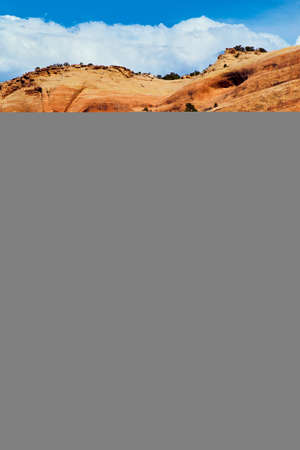 Road with car cutting through large cliffs of red rock in desertの写真素材