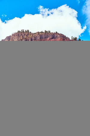 Vertical wall of mountains covered in fall aspen trees light greenの写真素材