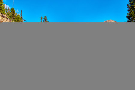 Walking path up mountain with pine trees and blue skyの写真素材