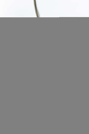 Smoldering greenish gray smoke on a white backgroundの写真素材