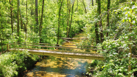 Walking bridge in park over water with green forestの写真素材