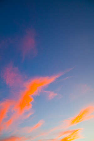 Neon orange thin wispy clouds on a blue skyの写真素材