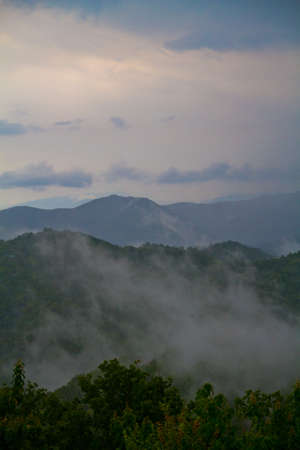 Portrait of Smoky Mountains on a partially cloudy day with trees in the foregroundの写真素材
