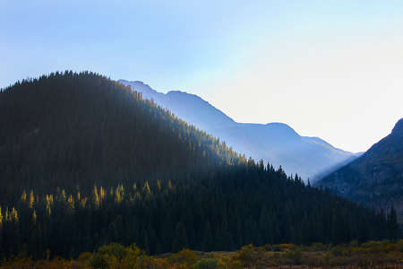 Beams of sun hitting desert mountains covered in pine treesの写真素材