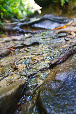Thin streams of water run over brownish blue rocks in a shallow riverbedの写真素材