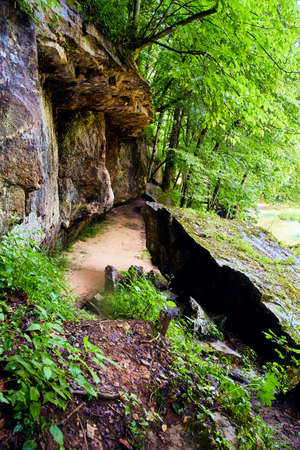 Trail against large boulders with moss and lichen in forestの写真素材