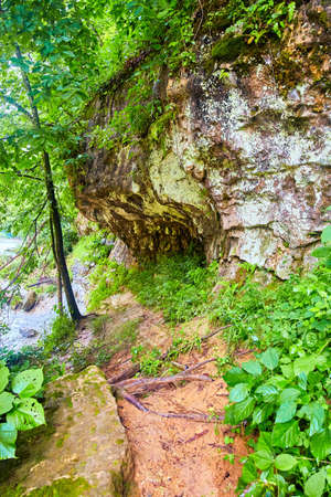 Trail in forest with large boulders covered in Lichenの写真素材