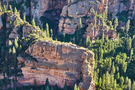 Aerial landscape large rocky mountain with pine treesの写真素材