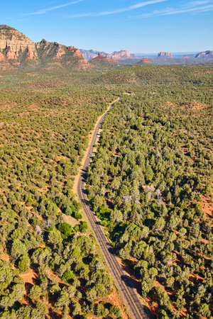 Road through the valley of the desert surrounded by trees and mountainsの写真素材