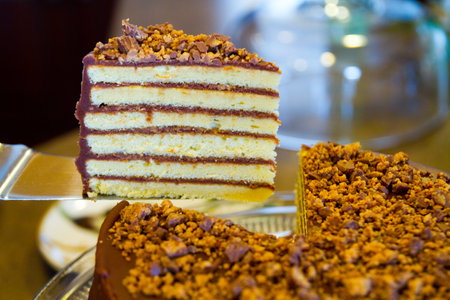 Six layer white cake with chocolate frosting and nuts on top with a large piece cut out for displayの写真素材