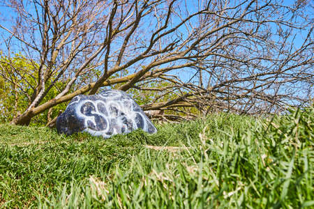 Green field with rock sprayed with white paint and large treeの写真素材