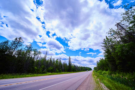 Traveling view of road from side with pine trees and cloudy skyの写真素材