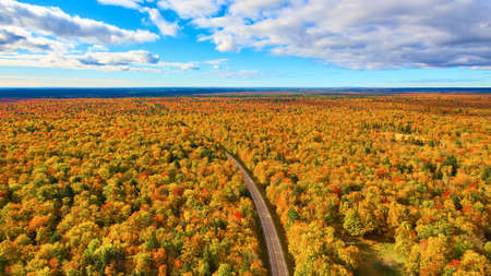 Golden forest in the fall with an empty road passing through itの写真素材