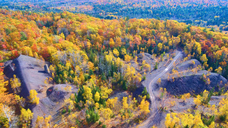 Orange yellow and red aspen trees in fall with a forest an old road near a mine shaft and a forest...