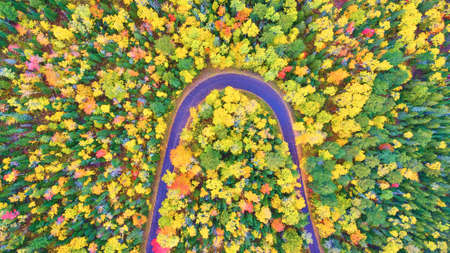 Aerial of a fall forest with green, red, yellow and a horseshoe road
