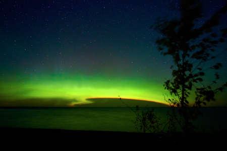 Aurora lights with tornado pattern and tree with leaves silhouette and night skyの写真素材