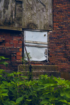 Green plants around abandoned building with barricaded white door and red bricksの写真素材