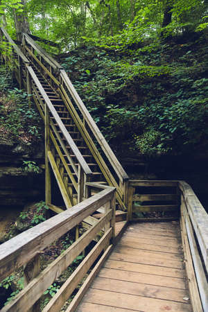 Wood boardwalk with wood staircase through the forest