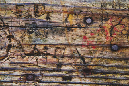 Texture of old wood plant up close with people;s initials carved into it