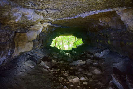 Cave tunnel looking at opening into green forest lightの写真素材