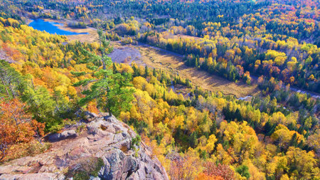 Winding river with a lake and a tall tree on the tip of a mountain and a fall forest of aspens and pine treesの写真素材