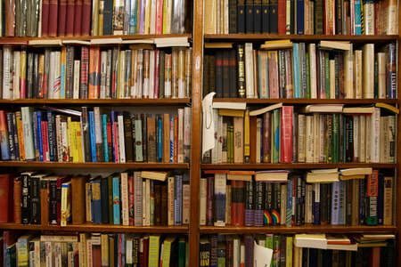 Wall of bookshelves in bookstore full of books