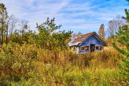 Abandoned cabin in an overgrown woodの写真素材