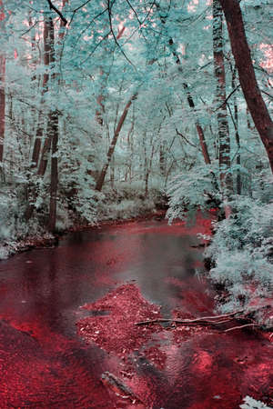 Blood red river with teal trees shot in infraredの写真素材