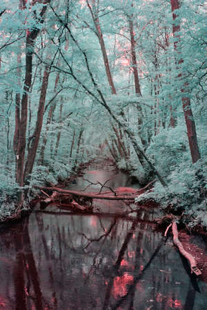 Mystical teal forest with a black river and red soil shot in infraredの写真素材