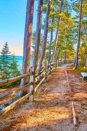 Sparse forest path with trees on the other side of a wooden rail and a lake to the left with pine treesの写真素材