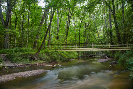 Ripples across a stream or river in a forest with a wooden and metal bridgeの写真素材