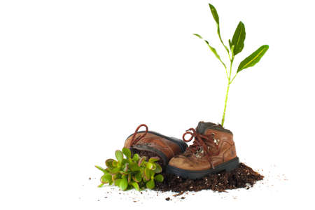 Workers shoes surrounded by dirt with a green plant growing out of one of the shoes on a white backgroundの写真素材