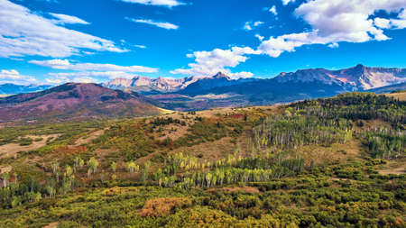 Large forest with line of aspen tree and beautiful mountain range in backgroundの写真素材