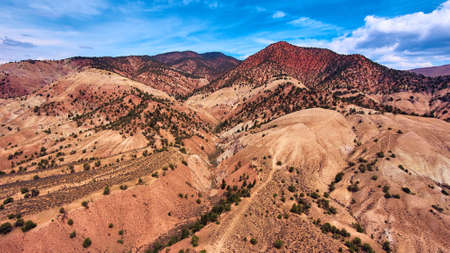 Desert mountains with green bushes and layers of red and yellow sandの写真素材