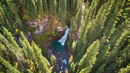 Aerial of majestic hidden waterfall surrounded by pine trees