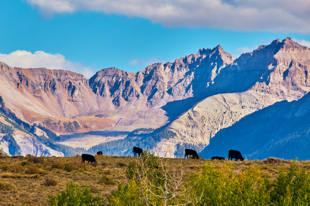 Hill in desert with heard of cows against large rocky mountain rangeの写真素材