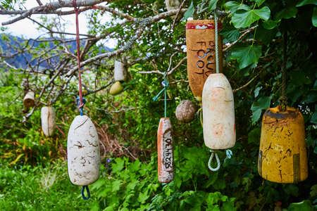 Variety of unusual foam bullet decorations hanging from treeの写真素材