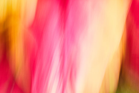 Abstract art background asset of light and streams of pink and yellow light fading to red and goldの写真素材