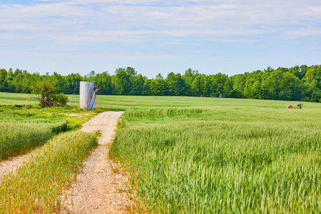 Maintenance road leading to abandoned farm silo type equipment surrounded by green fieldsの写真素材