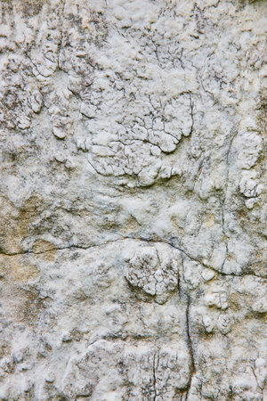 Gray stone, grey rock, textured tombstone background asset