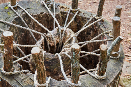 Odd contraption built into tree stump with sticks and rope holding up wood or stone in center of pitの写真素材