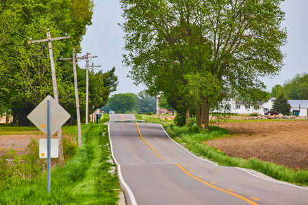 Country road, lone car, farm and field, trees and telephone polesの写真素材