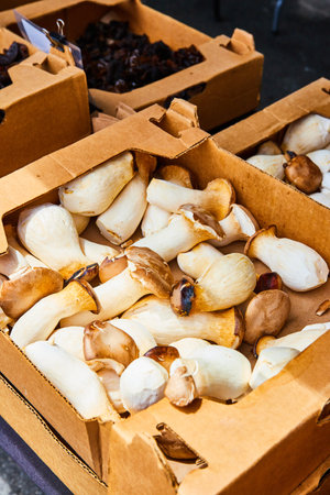 Different mushrooms and other fungi on table in boxesの写真素材