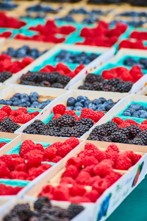 Alternating berries on table with blackberries and blueberries and red raspberriesの写真素材