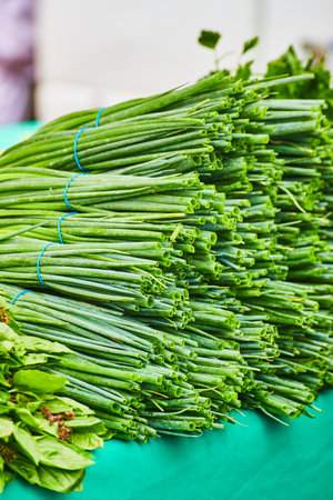 Ends of green onion or chives sticking outward from top of crowded tableの写真素材