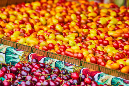 Close up of cherry tomatoes with cherries down belowの写真素材